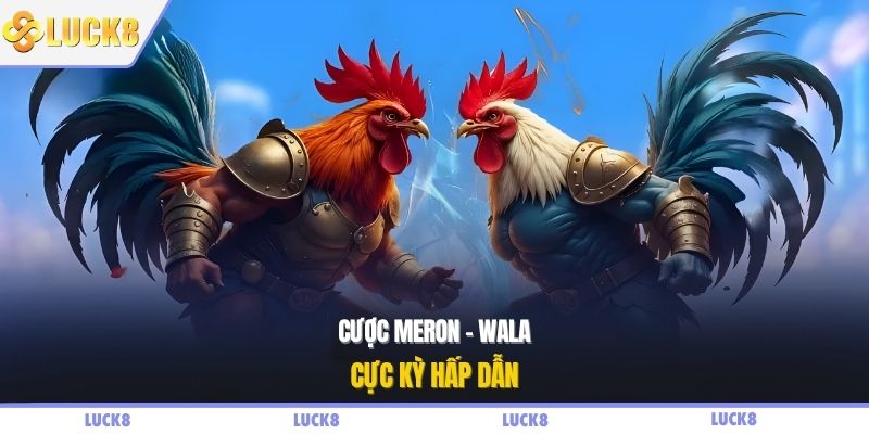Cược Meron - Wala cực kỳ hấp dẫn