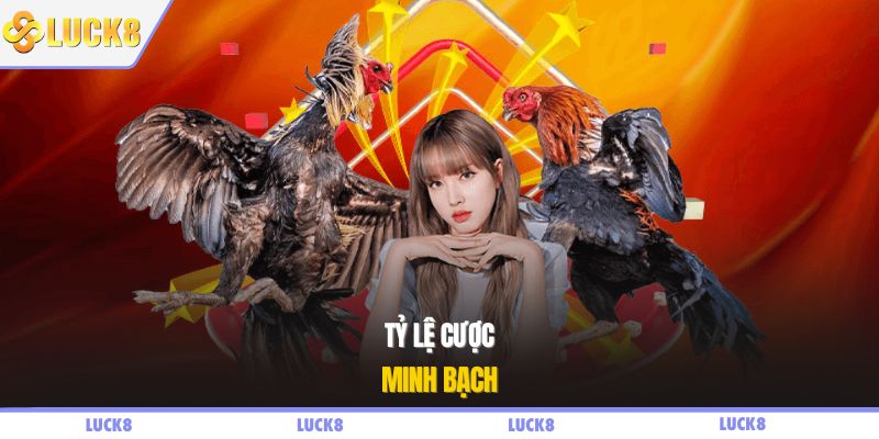 Tỷ lệ cược minh bạch